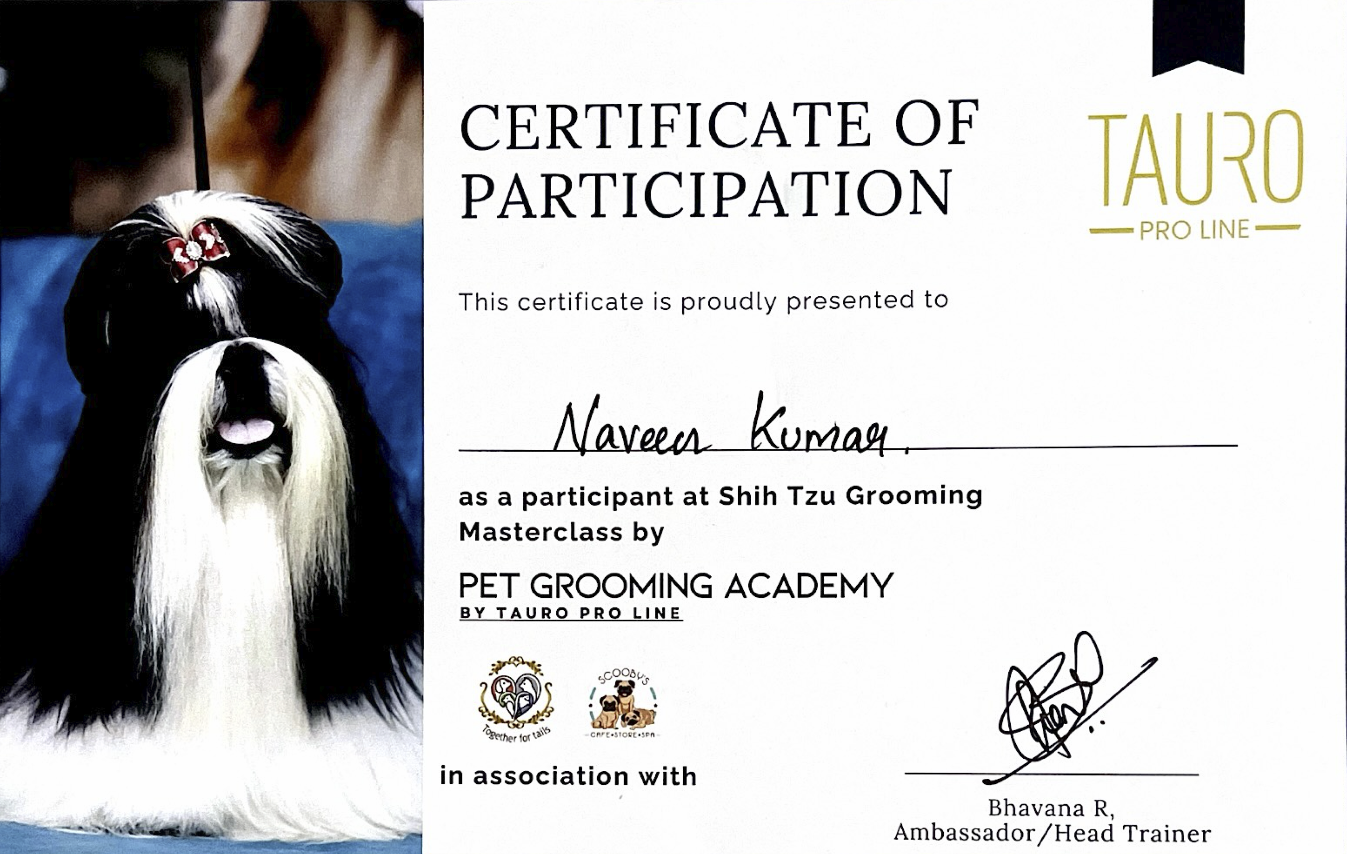 Professional Grooming Certification 2